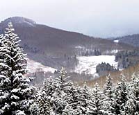 National Alpine Ski Camp Other Activities: At the National Alpine Ski Camp, racers choose three after-training activities daily, including windsurfing, kiteboarding,…