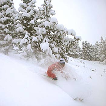 Carrera Airflow The Airflow's patented Air Extraction System eliminates the foggy-goggle problem for good with a vent on the brow of the helmet that pulls air from…
