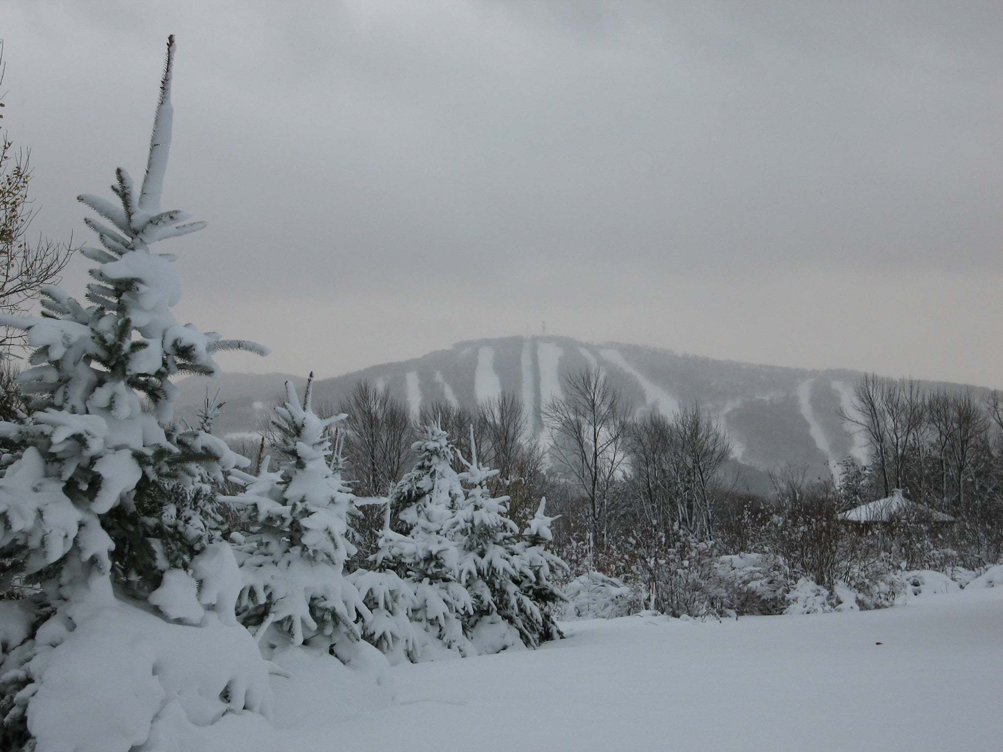 Elk Mountain, PA Last week the forecast was for flurries; by Monday, they were calling for several inches. Steve Suraci of Hill View Inc. and volunteer ski patroller…