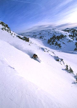 Ski Utah 2 None