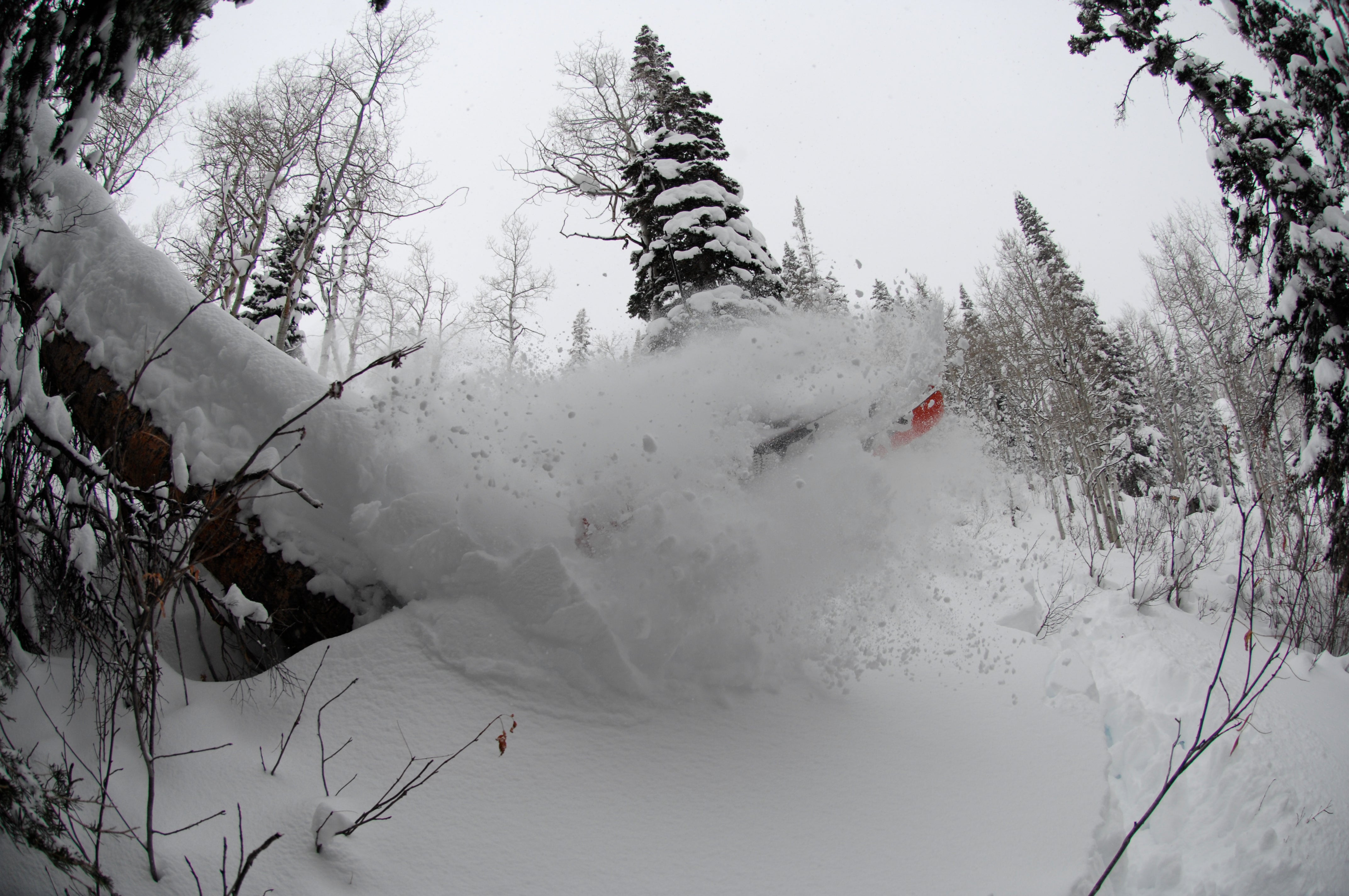 Steamboat, by Matthew Sklar None