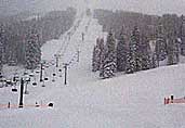 Vonn in gold, Mancuso in silver None
