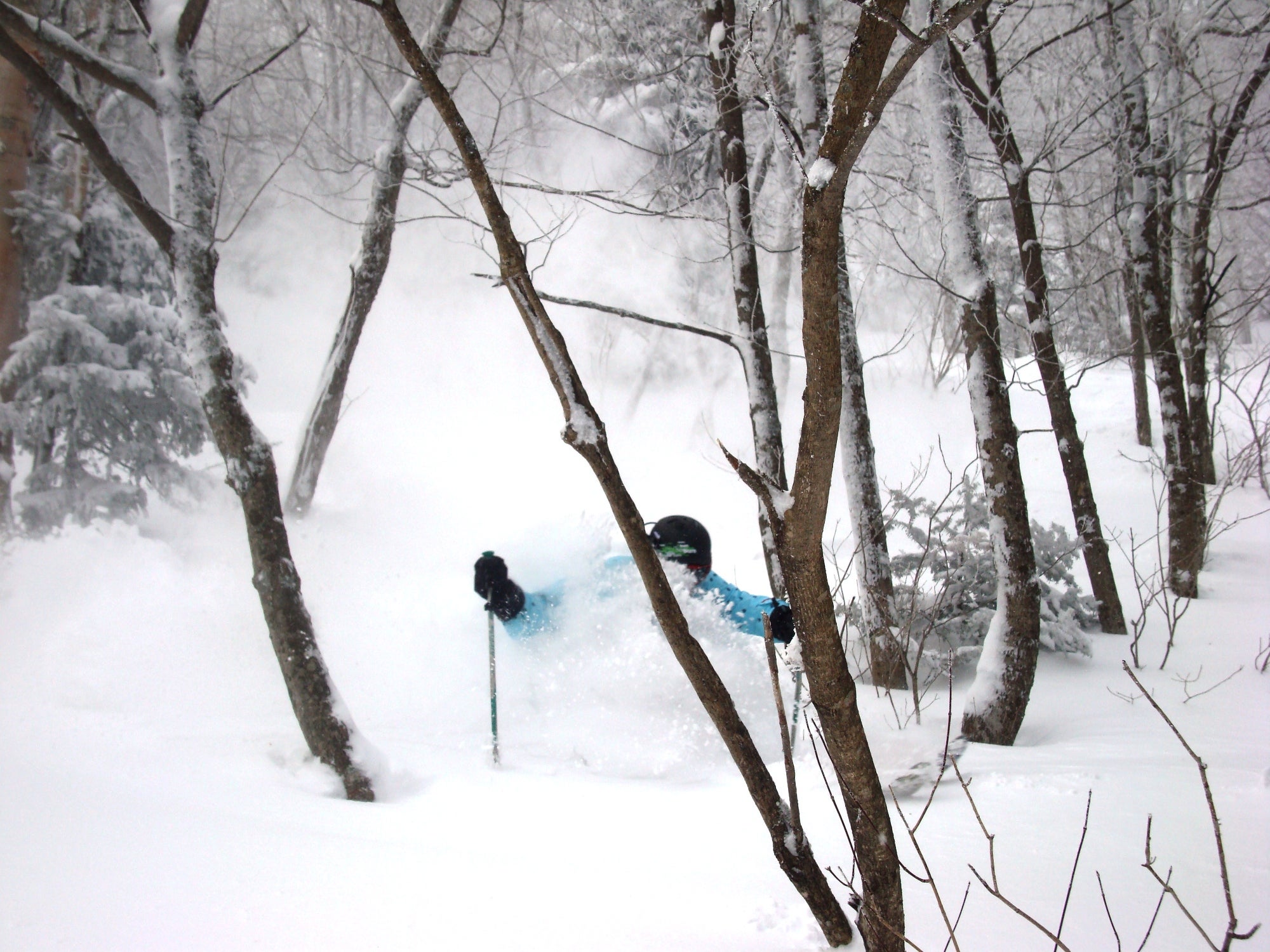 Jay Peak, February 10, 2010 As of 1 pm on Sunday, February 14, Jay Peak had received four inches of new snow that day—with temperatures in the low 20s, wind flurries, and more…