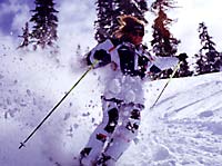 Jay Peak Powder None