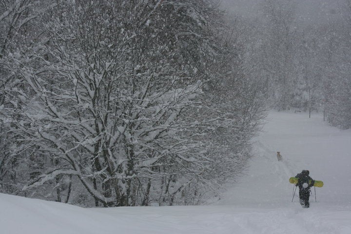 Jay Peak Powder None
