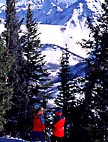 Jay Peak Powder None