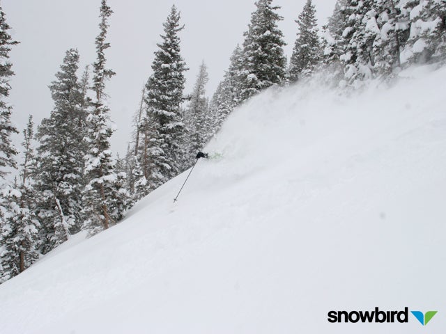 Snowbird, April 30 None