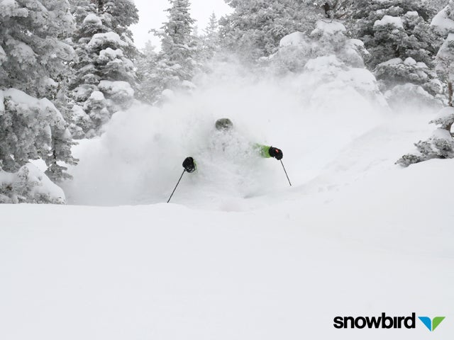 Snowbird, April 30 None