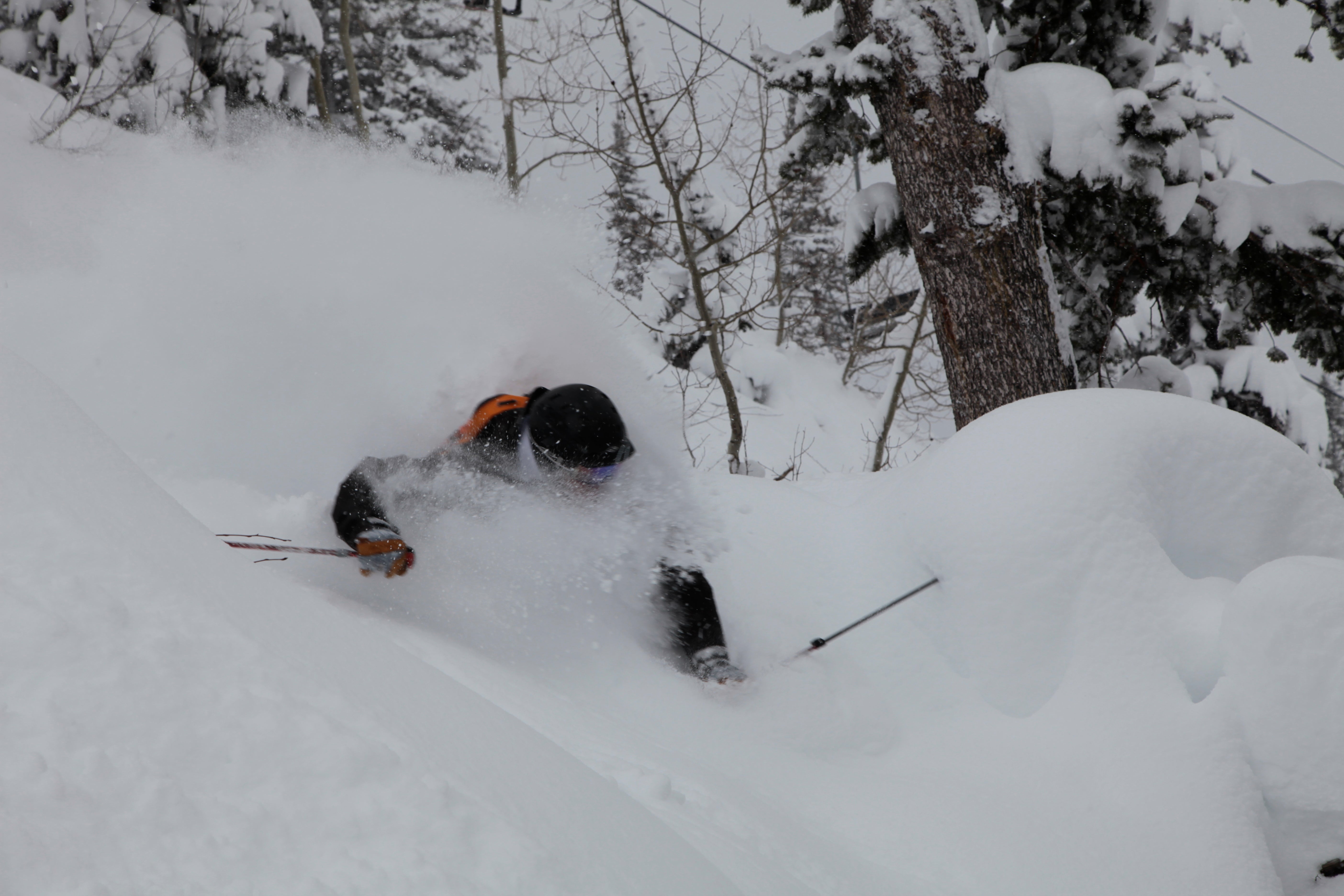 Snowbird Gets 7 Feet in 7 Days Snowbird Ski and Summer Resort received 7 feet of snow over the last week thanks to a succession of powerful storms. Snowbird’s year to date snow…