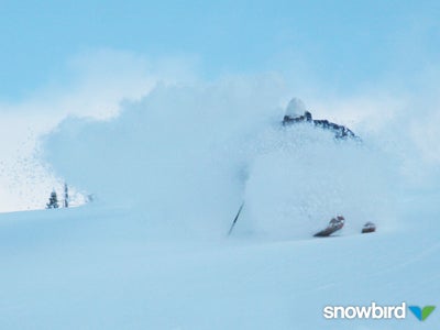 Snowbird, on December 14 None