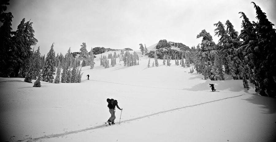 Greybird California isn't always sunny.