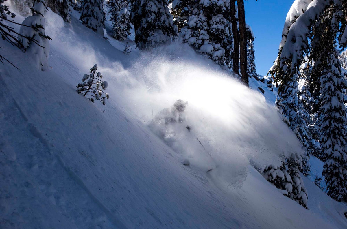 Mammoth Human? Yeti? Might just be the ghost of winters past.