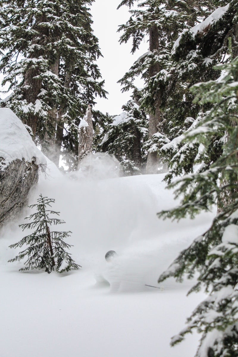 Snoqualmie Winter charged into the Pacific Northwest in February after a quiet start to the year. With a small sample of the 135-plus inches Alpental received…