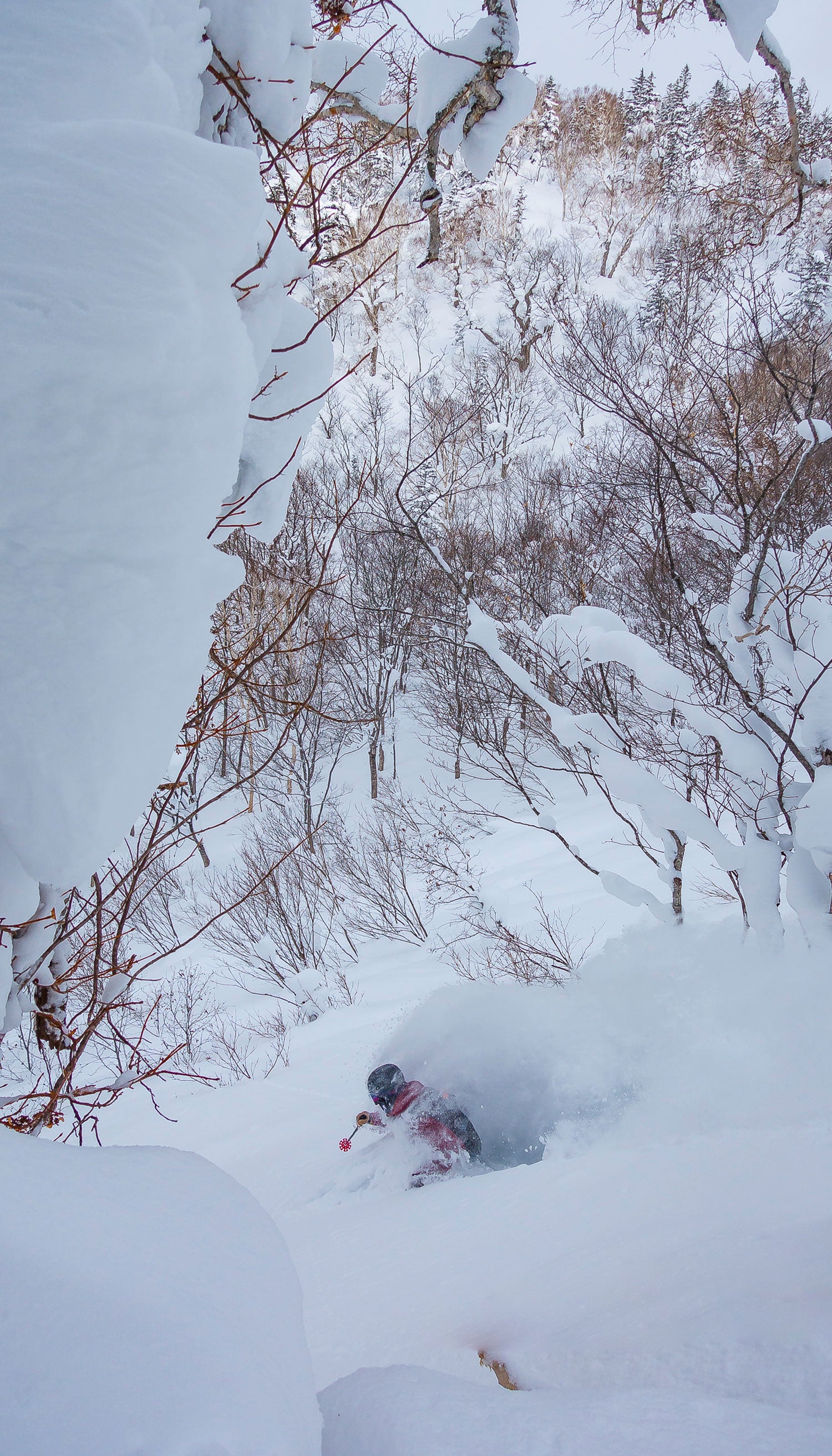 Disappearing Act Rookie GIT (guide in training) Max Tabor finds an opening between the willows on Himax. Max does everything from sales and marketing to shuttle runs…