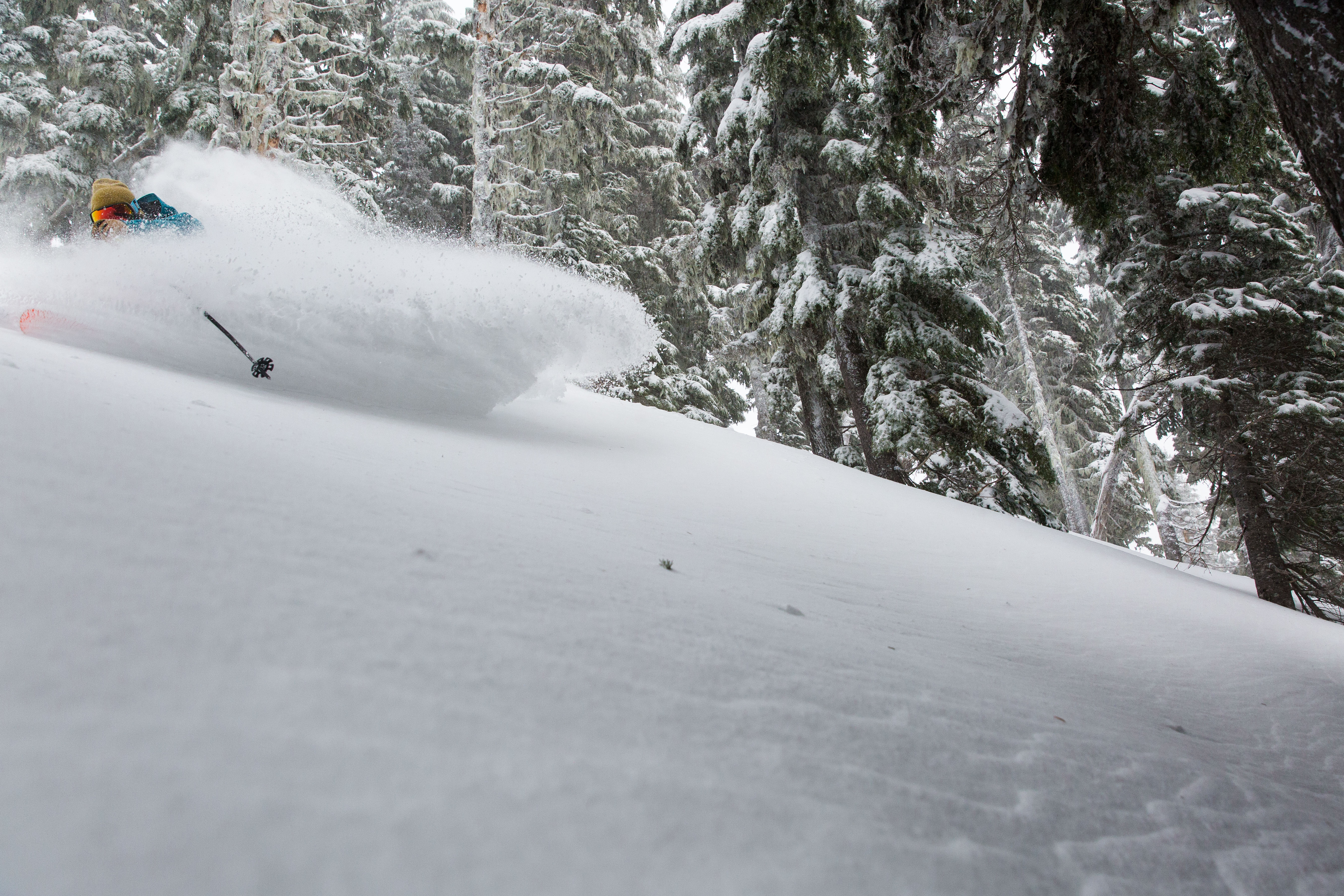 Ker-POW Ker-POW! Joe Johnson, who splits his time between Utah and Montana, gets a whole face full of Oregon love just off the groomers at Mount Hood’s…