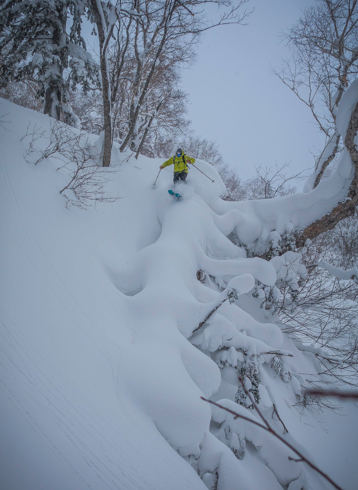 Pete Diesel Pete Connolly tests his mettle on a snow-covered downed tree just above the Gnarnia creek. Mountain operations director seems like a pretty damn good…