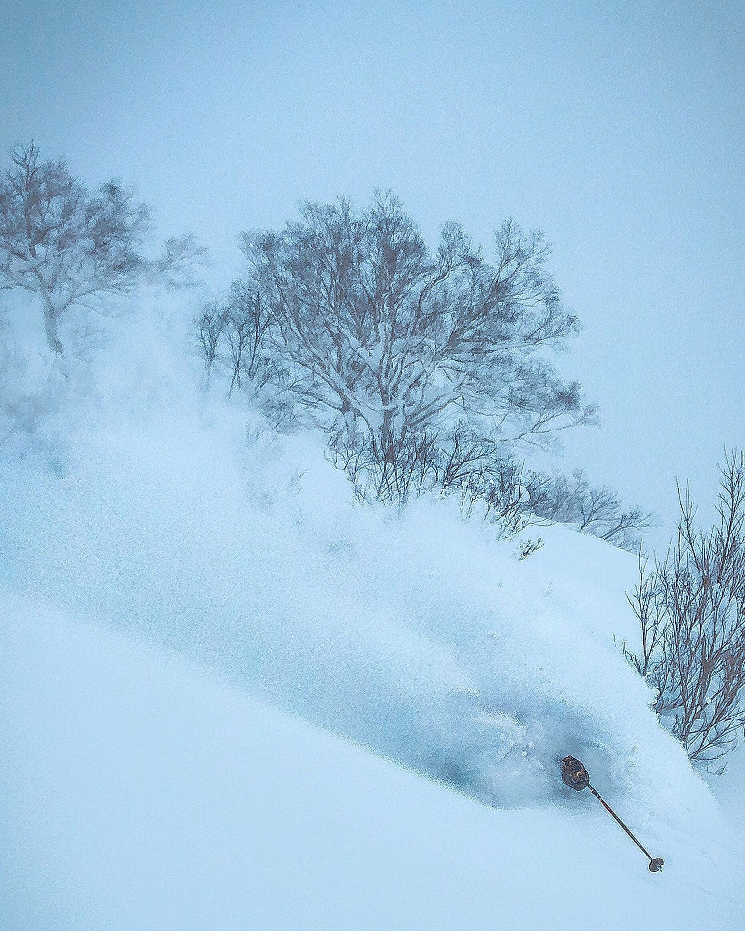 Unknown Depths We spend the day touring through the woods and up a ridge that accesses flowing, open meadows behind an area in the backcountry nicknamed 7-Eleven.…
