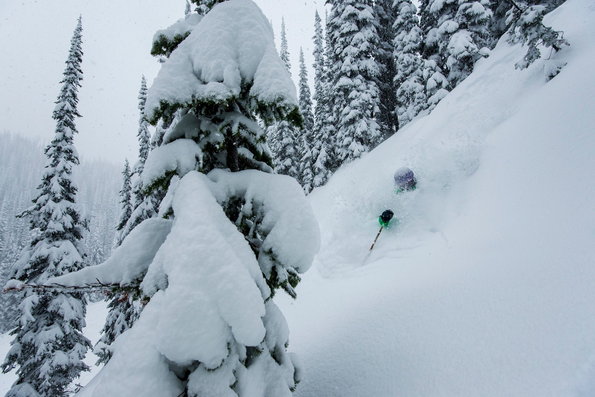 RV Canada Revelstoke Tout Photo None