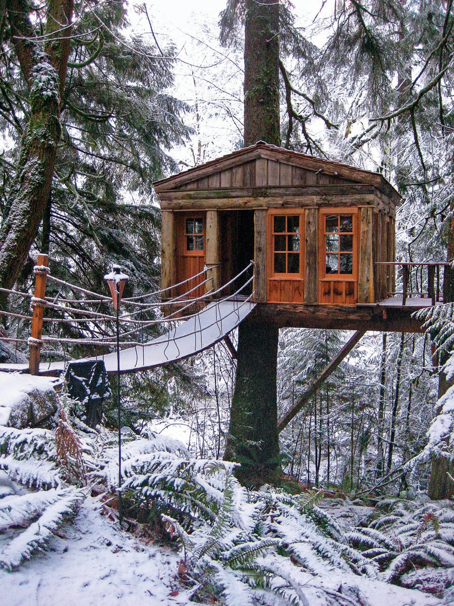 SKI1016_SCE_TreehousePoint.jpg None