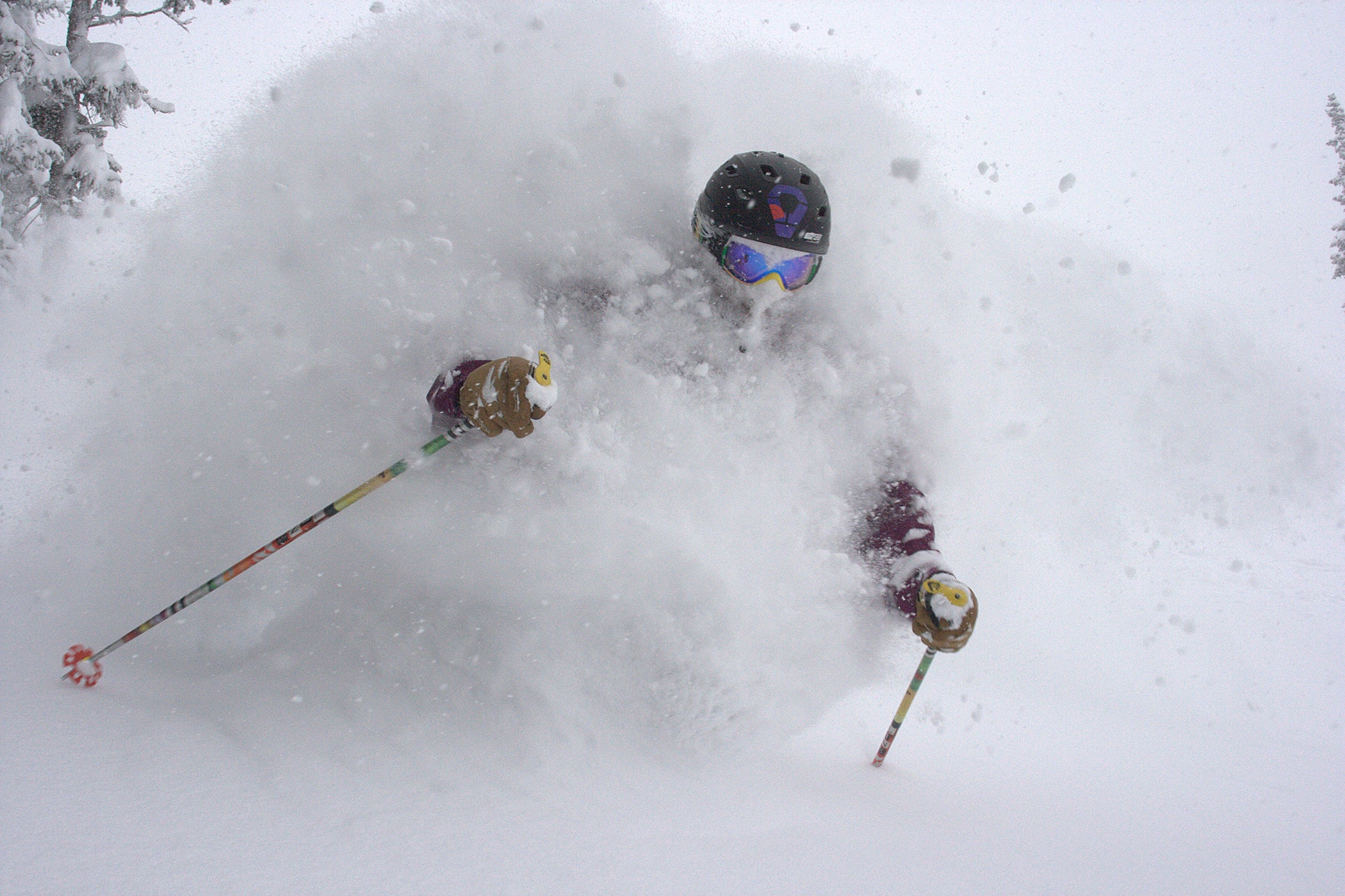 Monarch. Pow day.jpg None