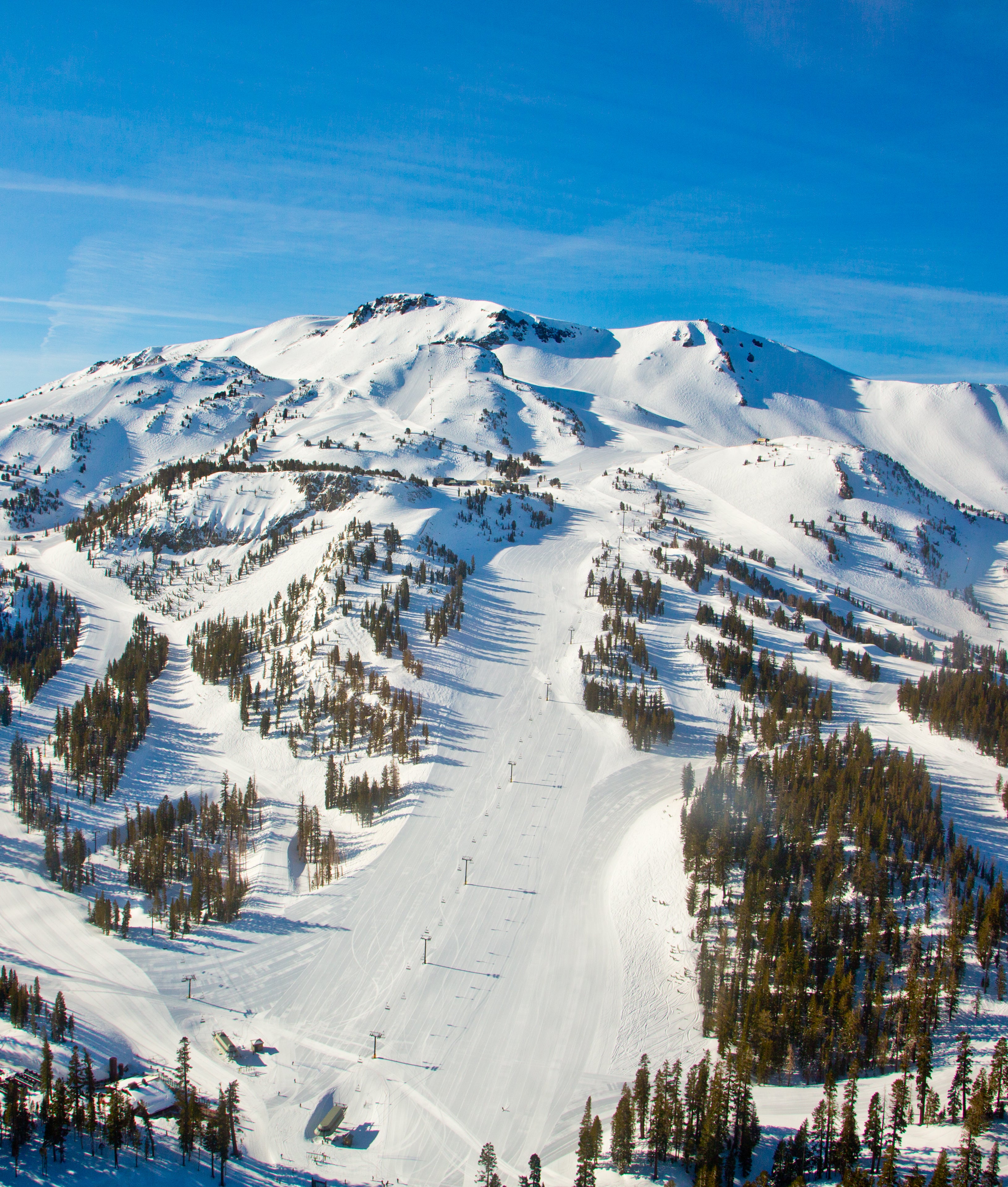 (Mammoth)PMM_9404 None