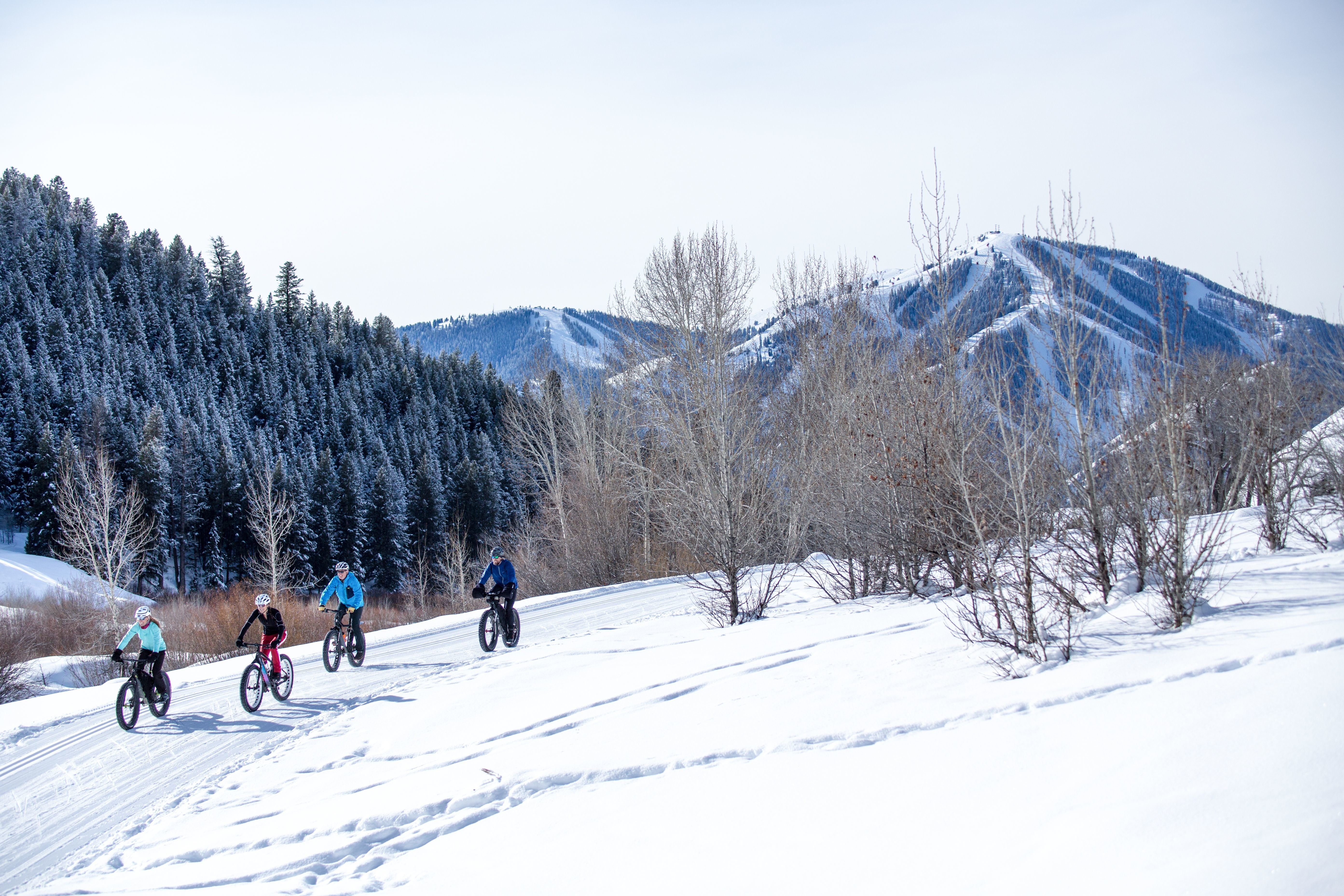 (SunVAlley)SunValley_FatBiking None