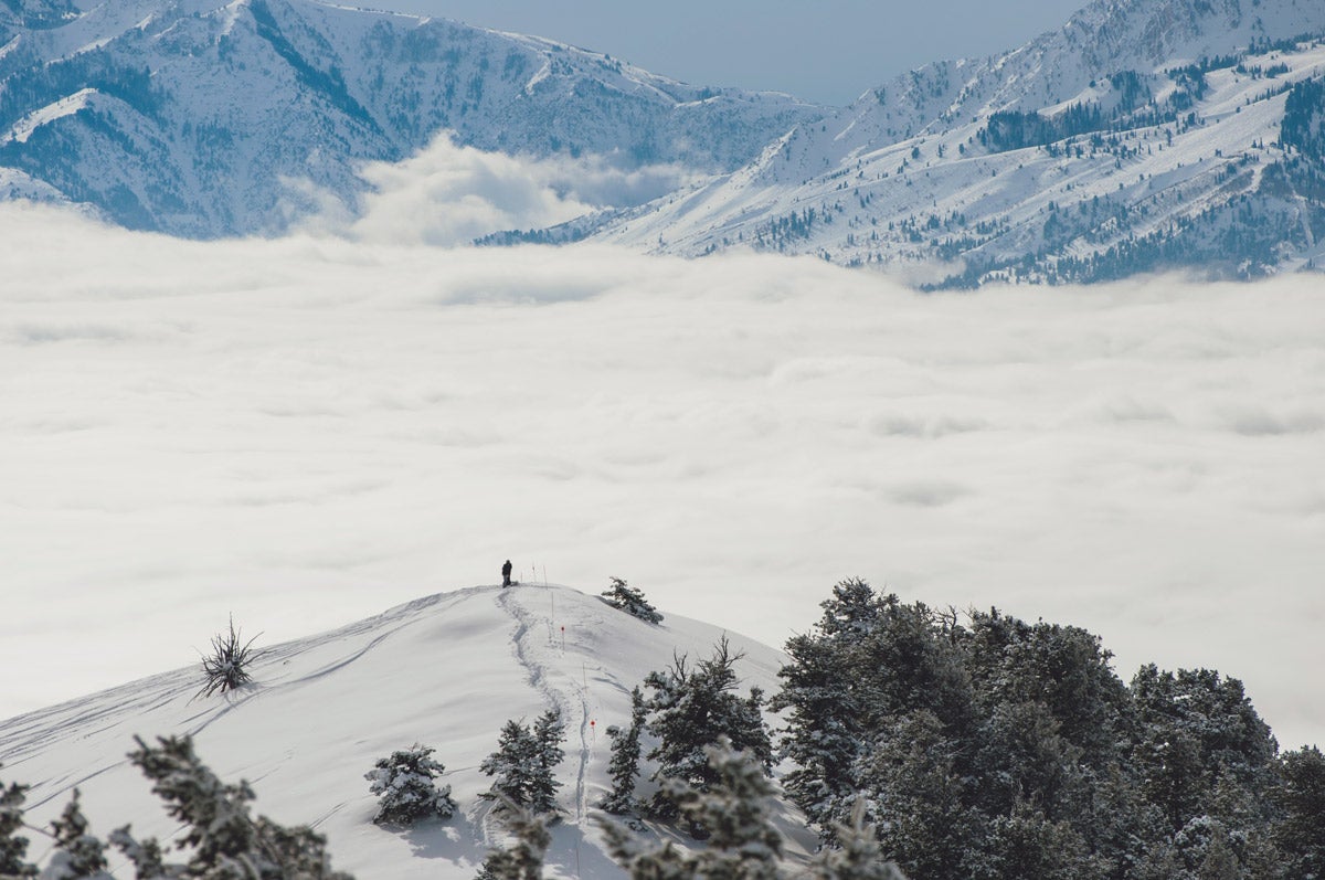 (PowderMountain)DSC_0219-2 None