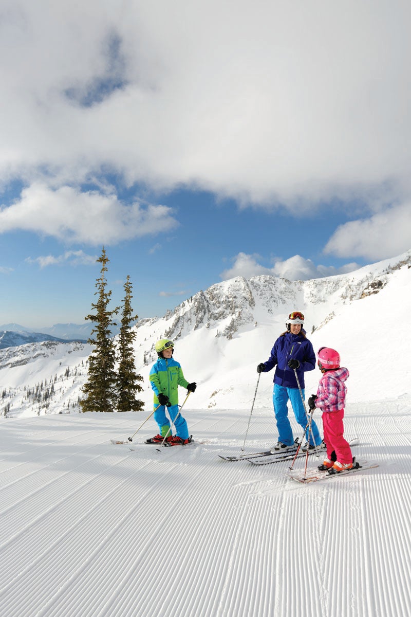 SKI0217_SPRING_SNOWBIRD_coDanCampbell None