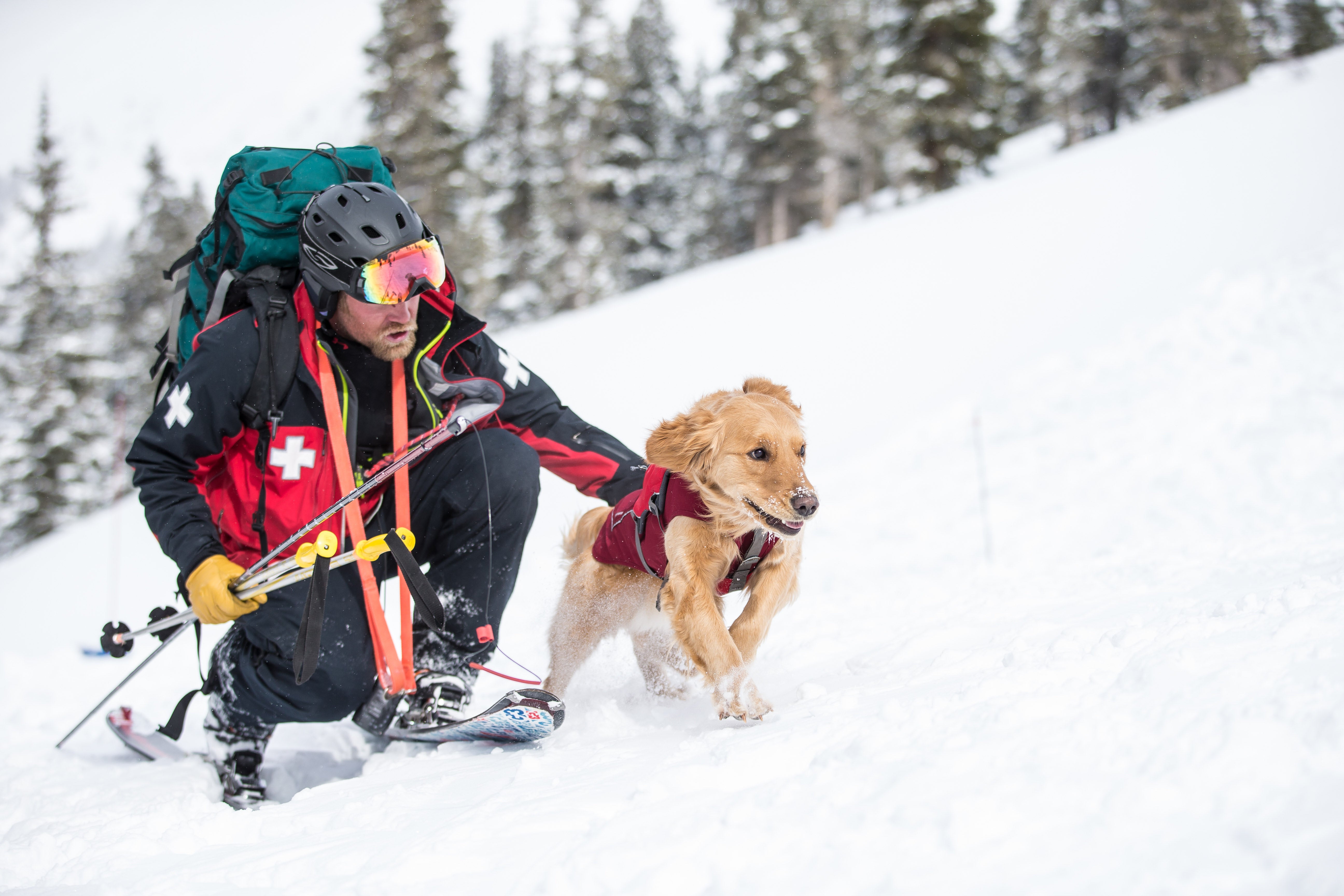 2016_ArapahoeBasin_DaveCamara_CRADAvyDogTraining Arapahoe Basin Avy Dogs