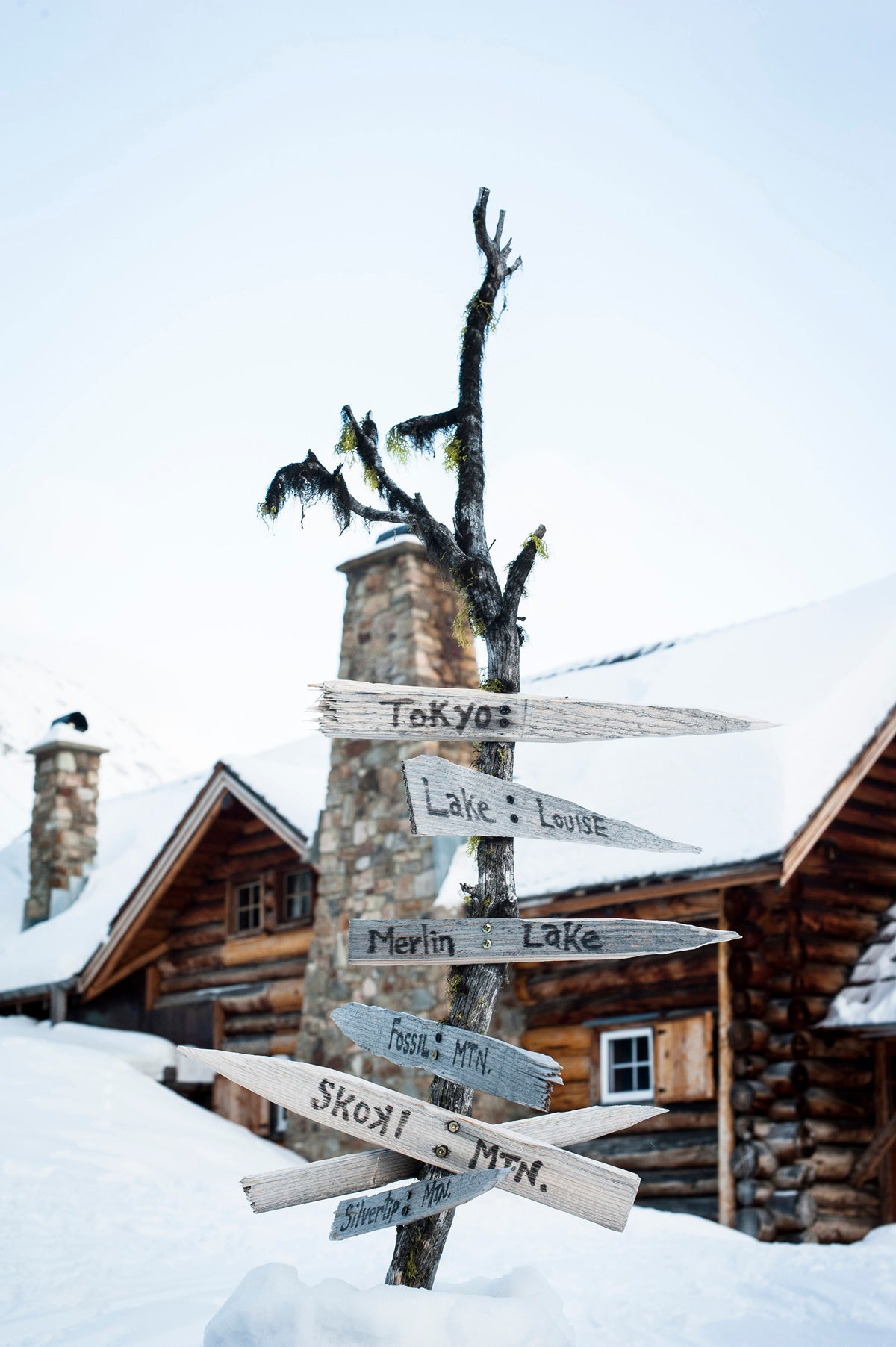 Routes Less Traveled No matter which route you choose when out and about in Banff National Park, it will be nothing short of epic.