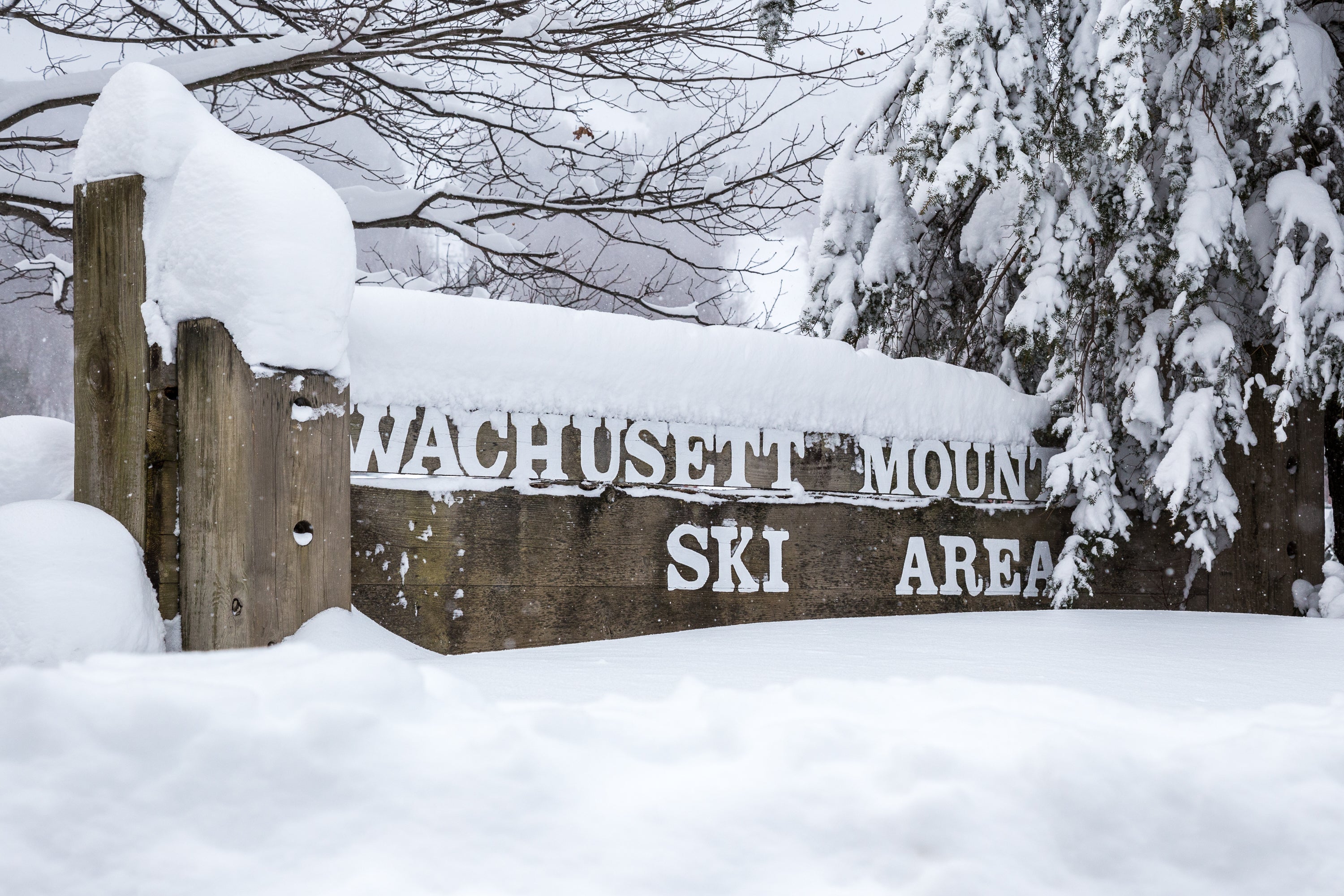 Accessibility - Wachusett None