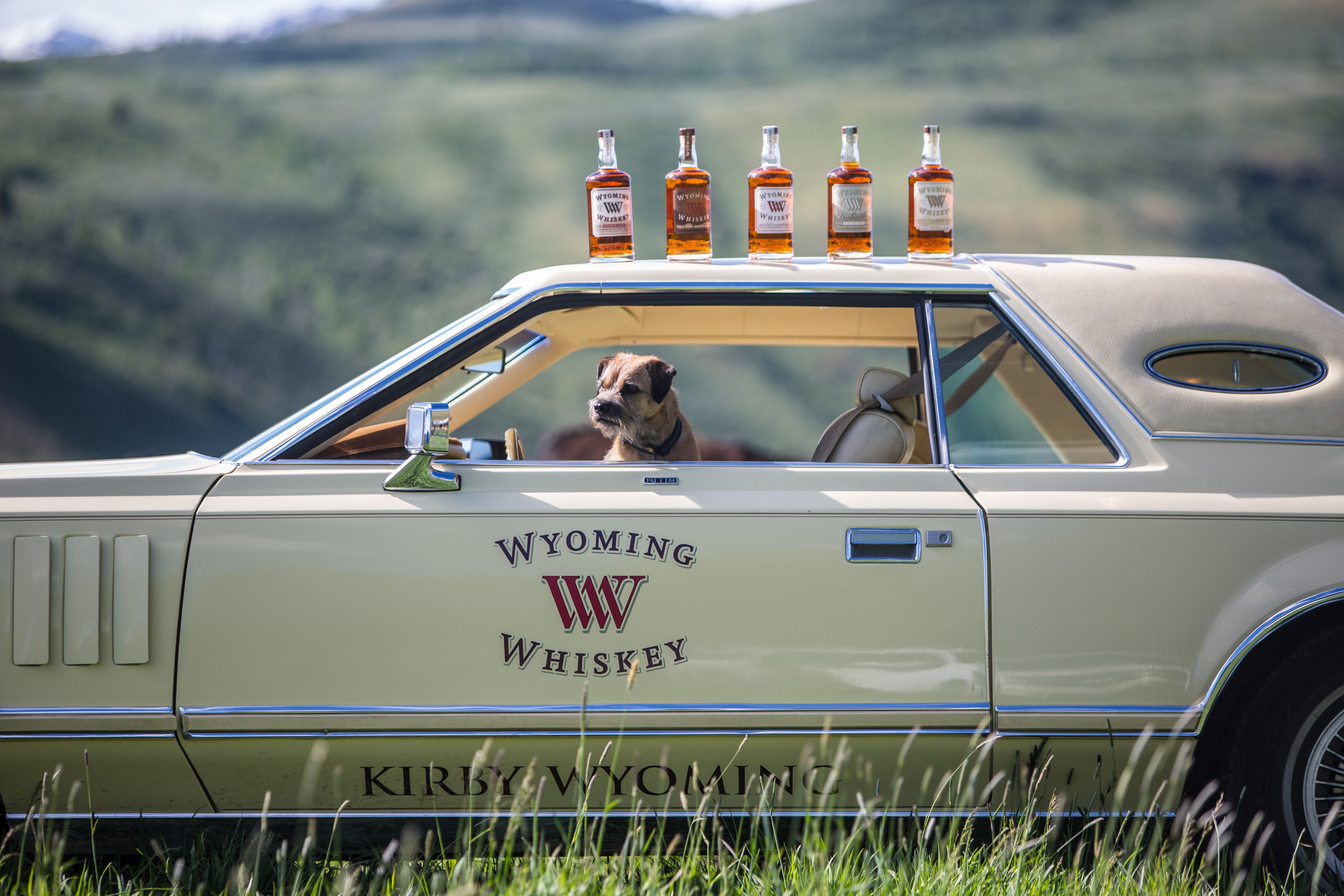 WW-8715 Wyoming Whiskey with a dog