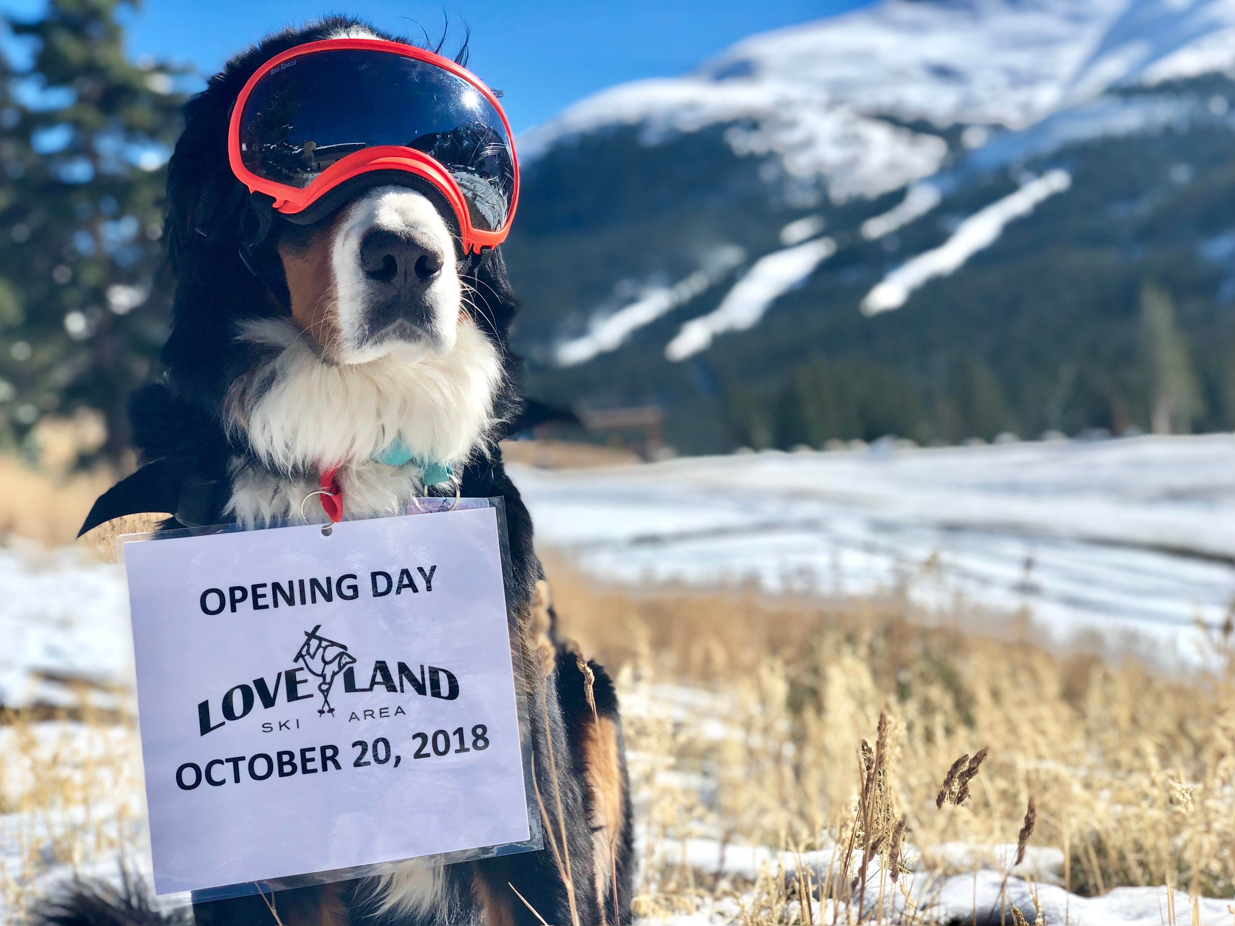 IMG_9943 Parker the Snow Dog Announcing Opening Day at Loveland