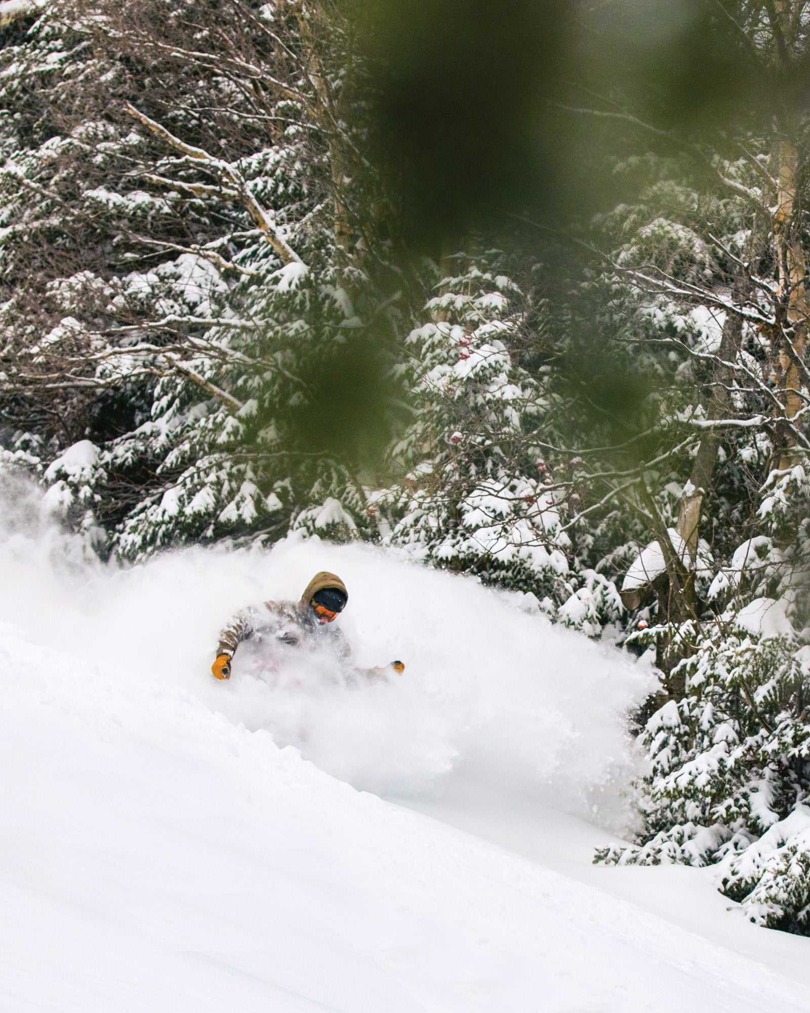 SKI1119-RGE-Sugarloaf-coJamieWalter.2018-0017 Sugarloaf, Maine ranks among the best in the East according to SKI Magazine readers