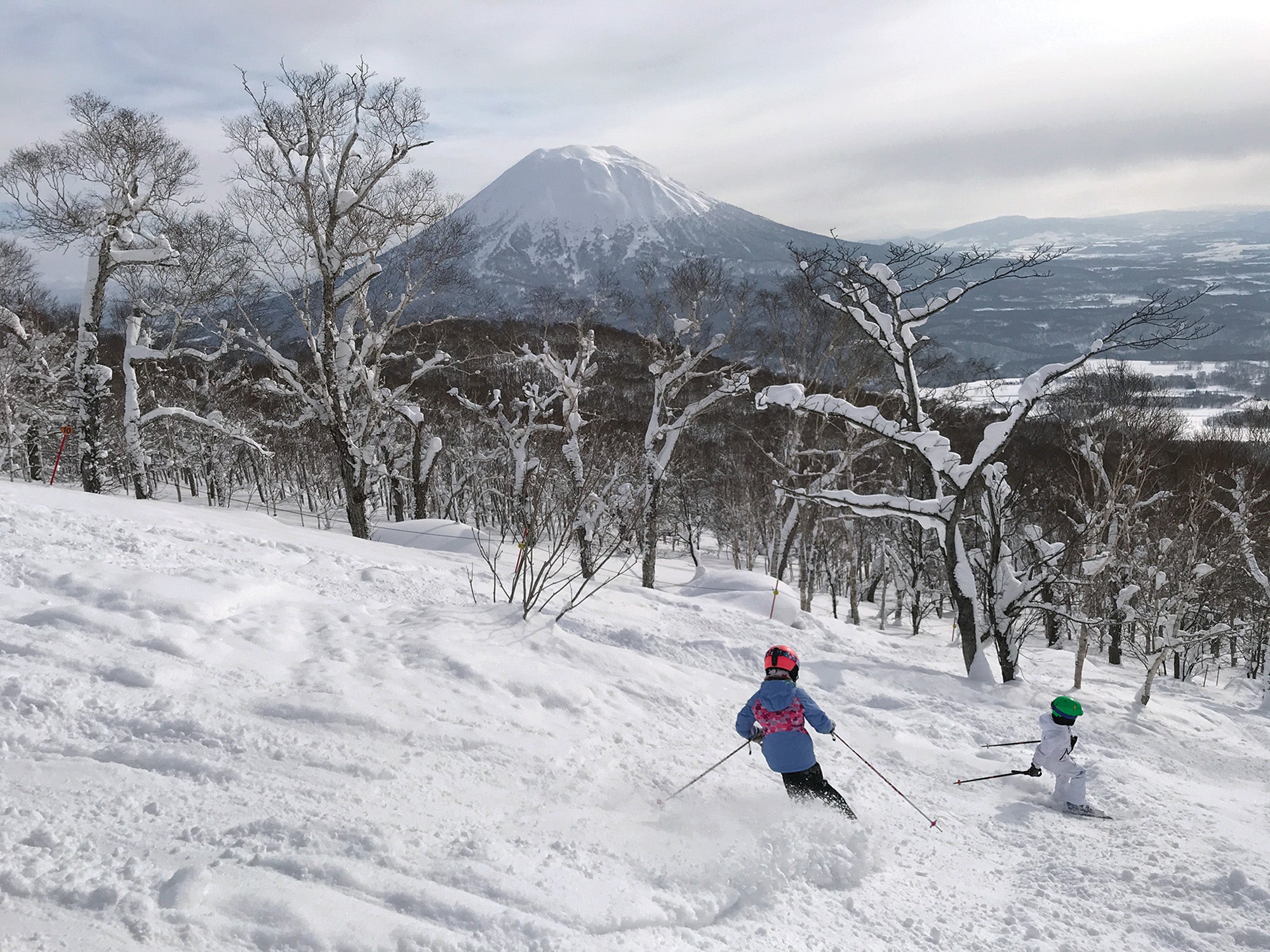 SNW70-Jackson3-coKitDeslauriers copy Two children skiing between trees on a ski slope in Japan
