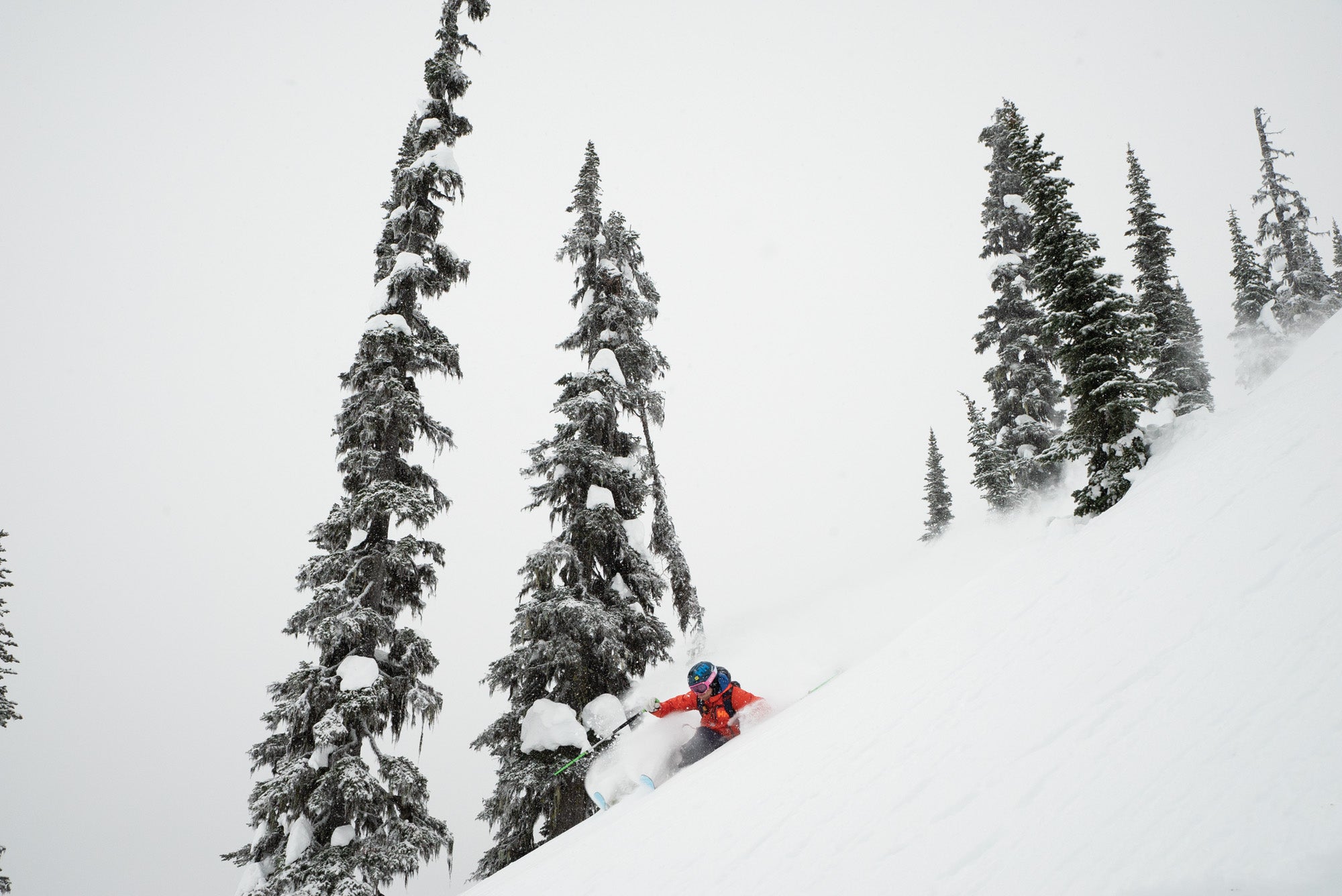 SKI1119-Wiegeles2-byJoshHaskins Jim Ryan powder with Wiegeles