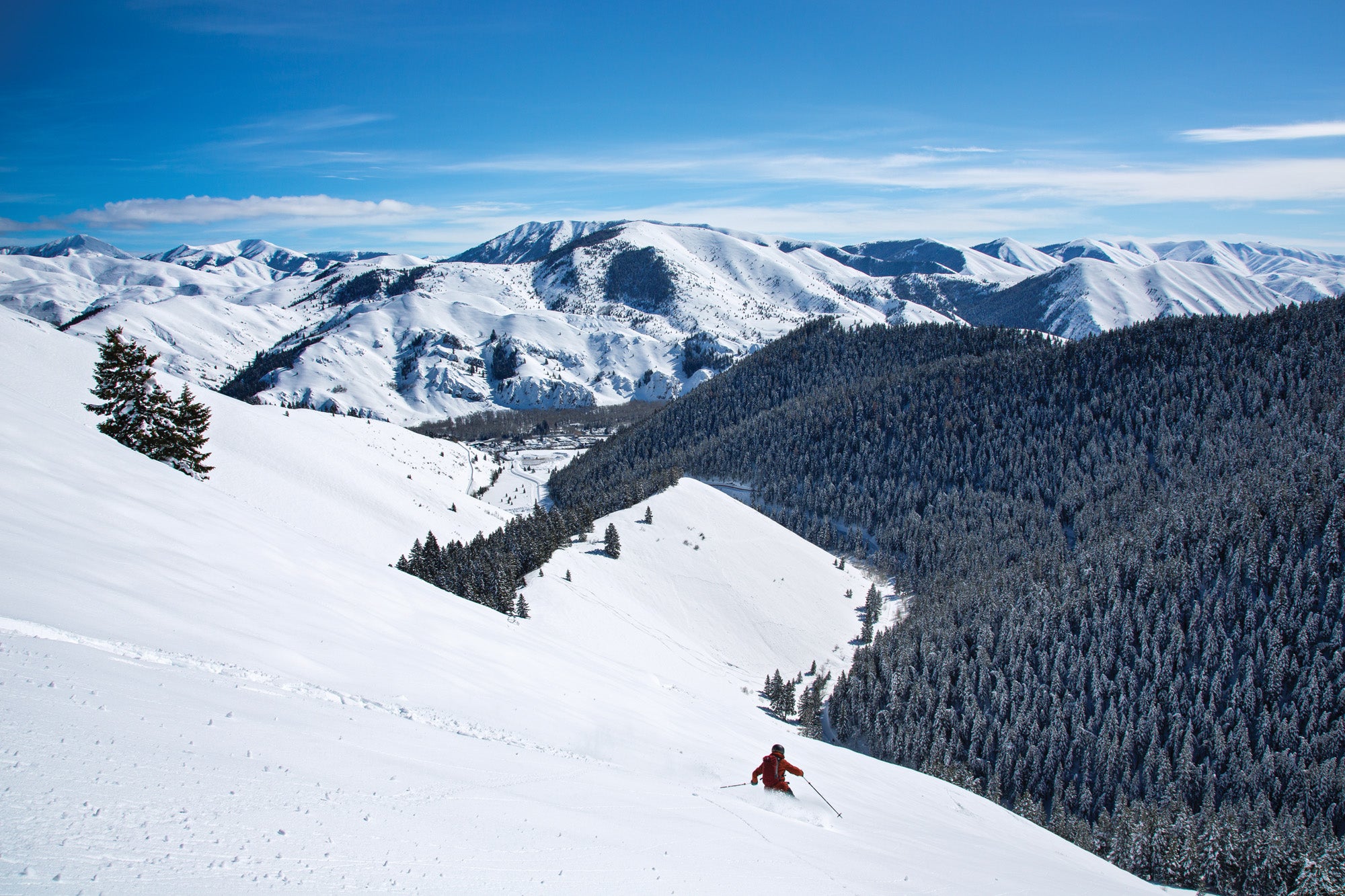 SKI1219-EC-SV4 None