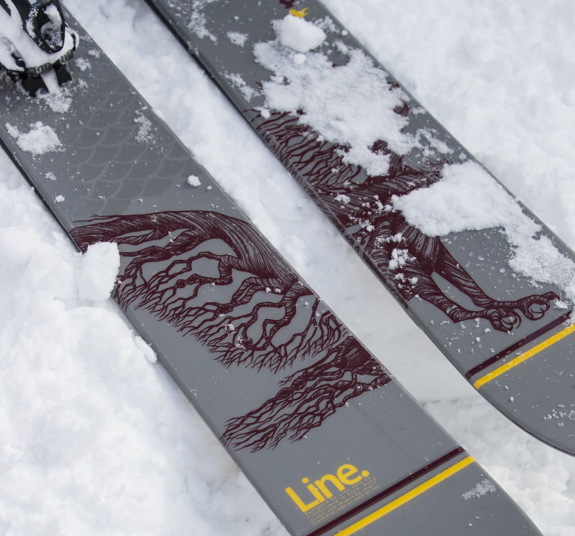 woodgrain_osprey_ski Line Outline Detail