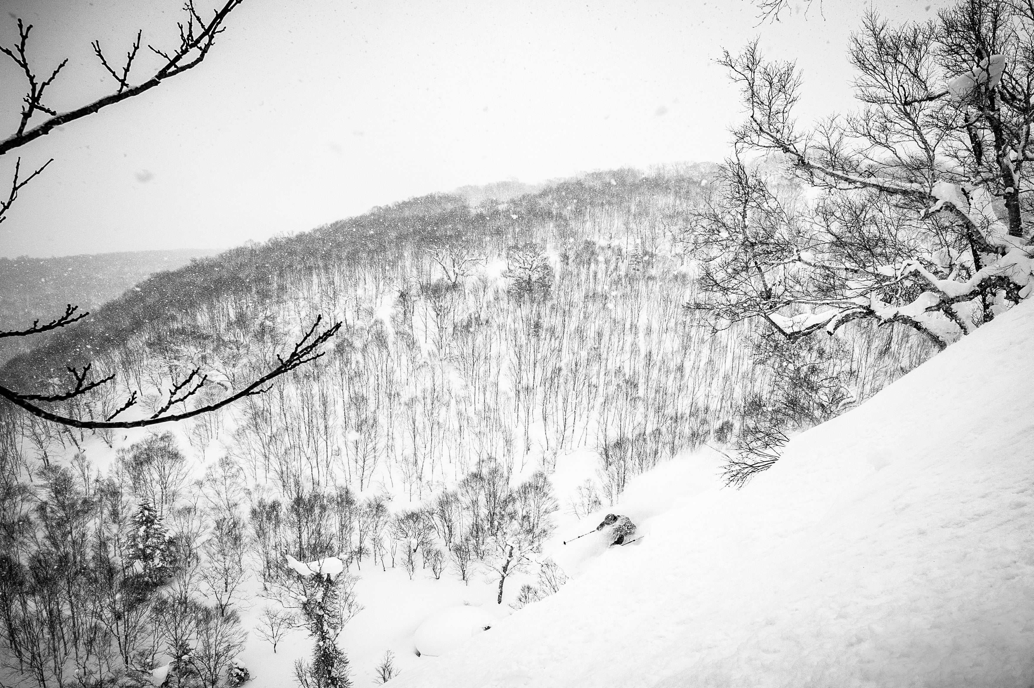 CLS_5612 Skier in Niseko