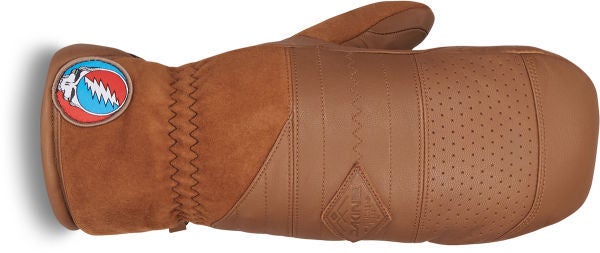 dakine_teambarongoretexmitt Dakine Team Baron Gore-Tex Mitt