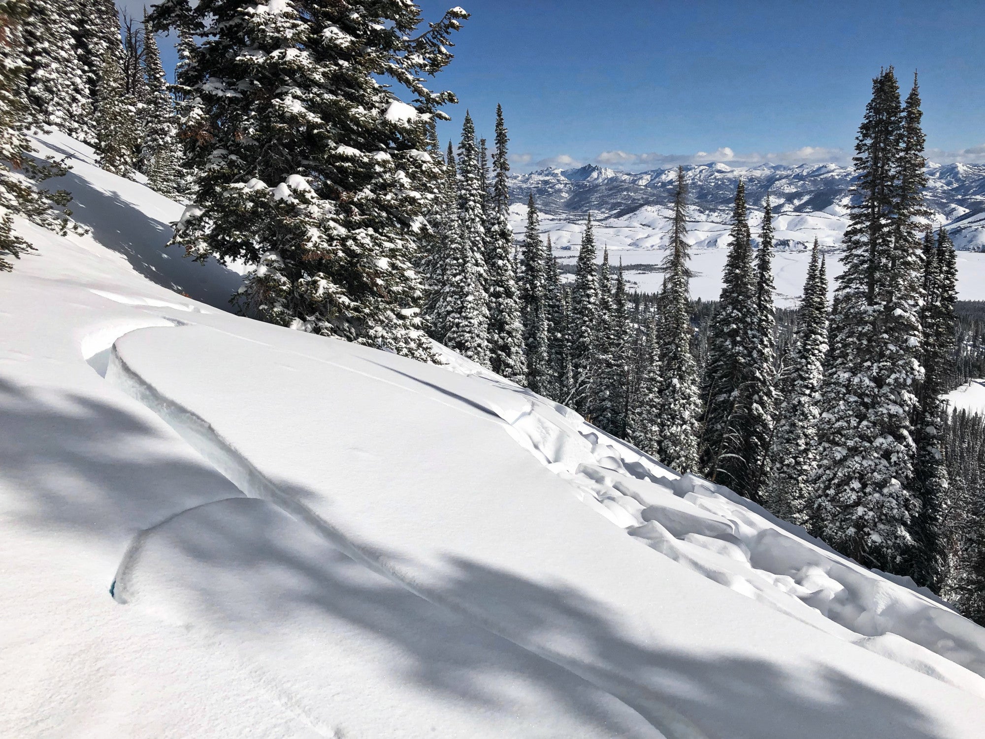 Crooked-Creek_cred-Ben-VandenBos-200401-sawtooths-williams-earthquake-1 Avalanche hangfire after avalanche