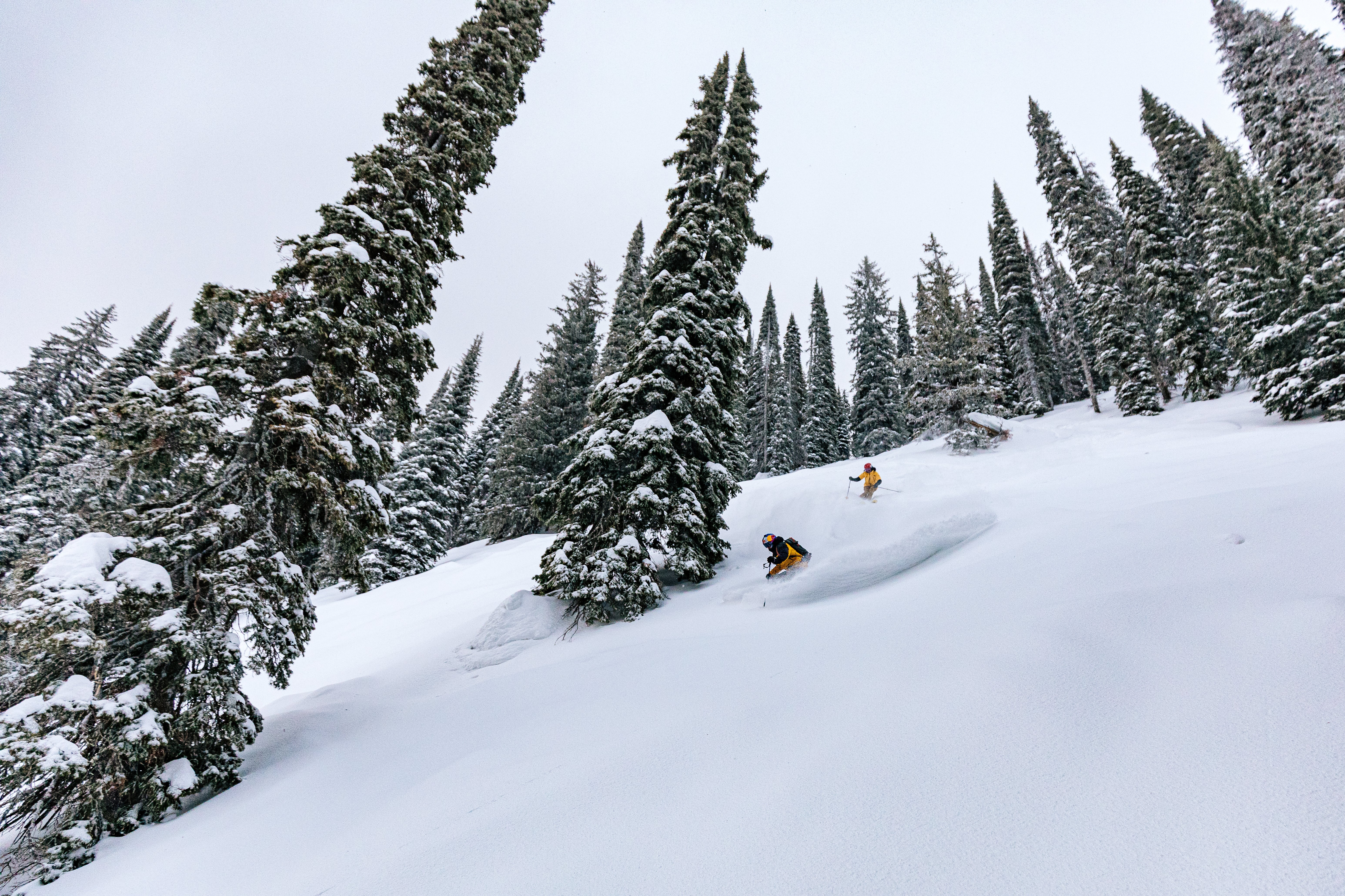 AGR_8337 PSIA Alpine Team Member Jennifer Simpson Weier follows Professional Skier Daron Rahlves through the trees at Fernie Alpine Resort in British…