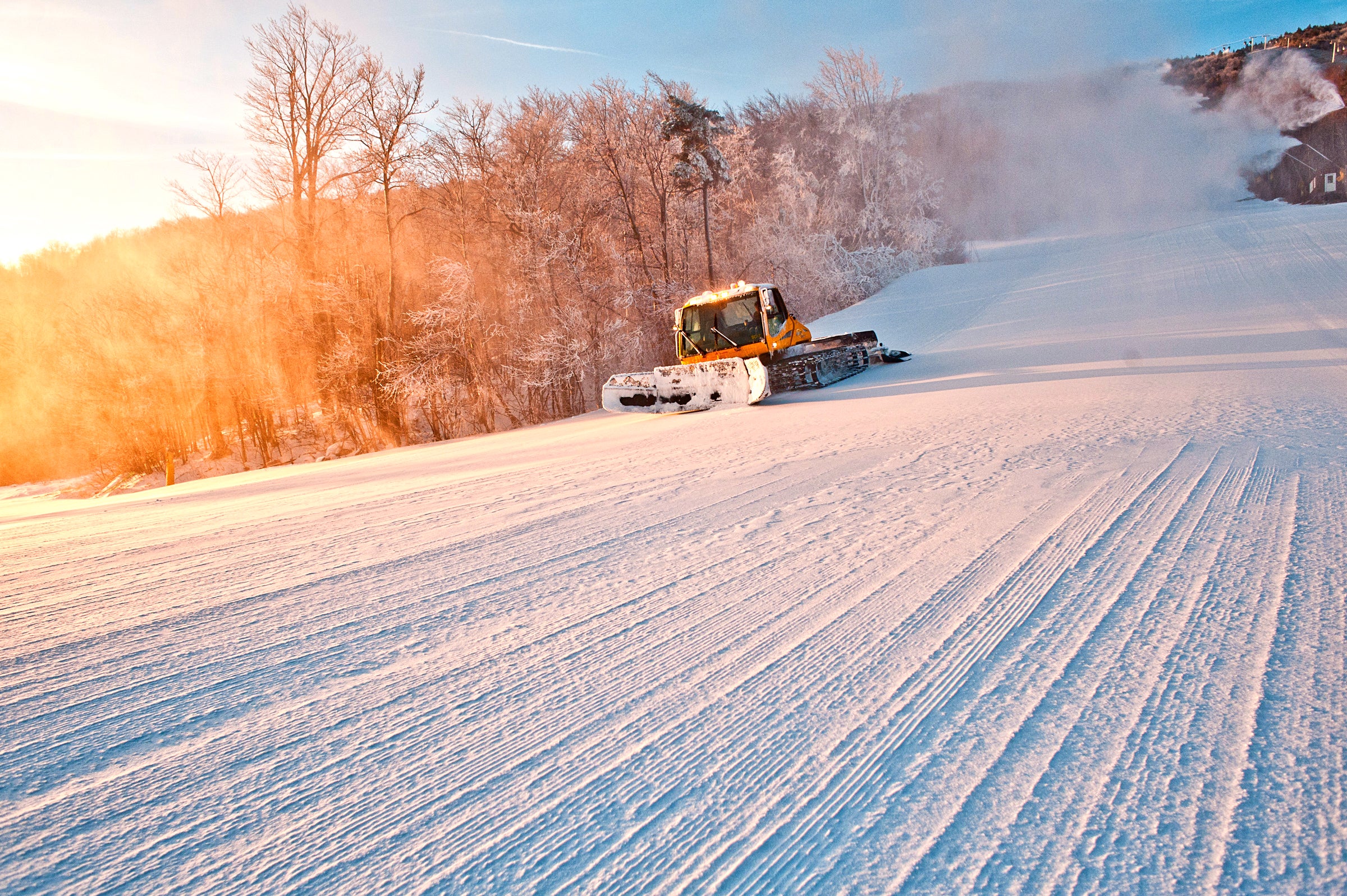 Grooming - Stratton None