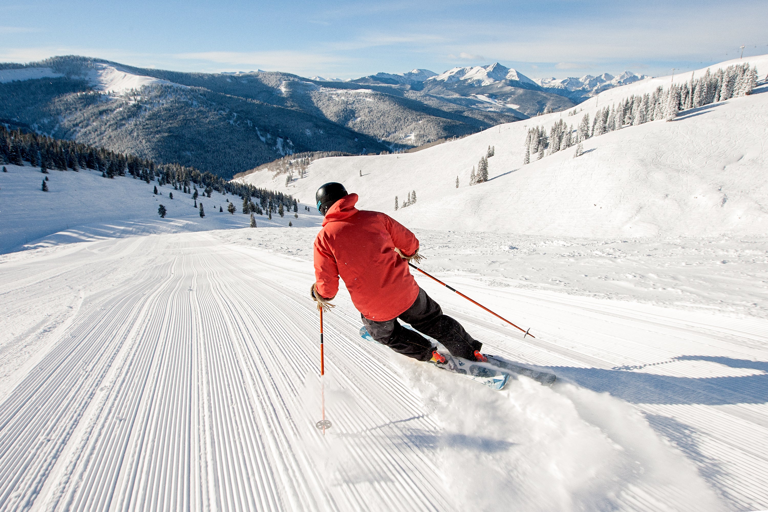Grooming-Vail None