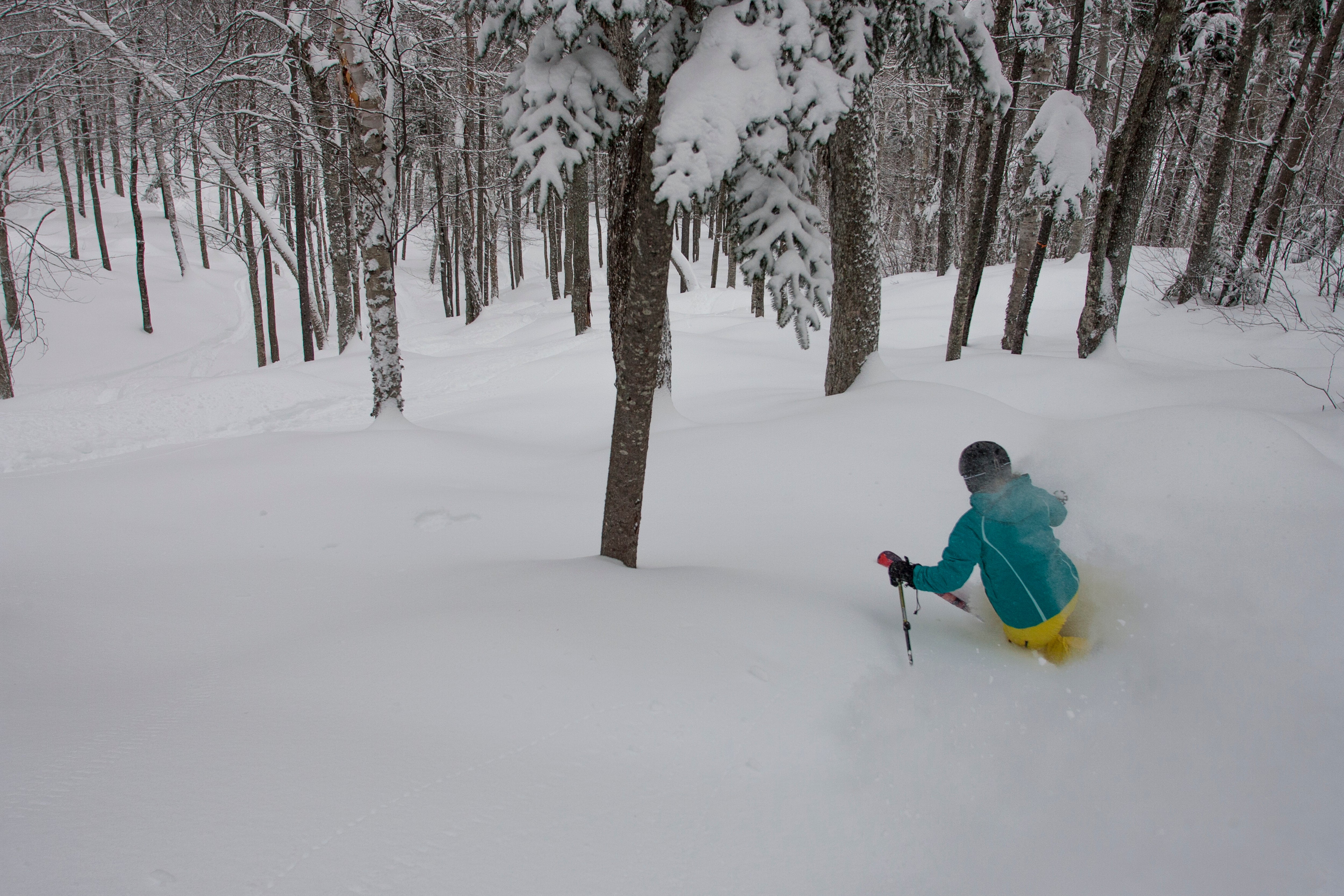 Terrain Variety - Sunday River None