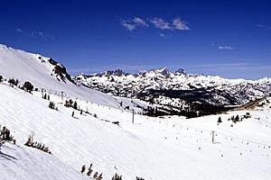 Ski pole by Nicolas Teichrob “I live on the ocean on BC’s Sunshine Coast. We don’t get snow at sea level very often. After a day of touring, I left my poles out and woke up the…