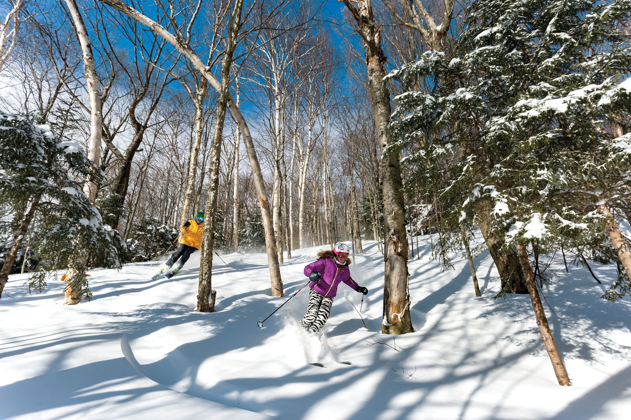 SKI1119-TRA-coSugarbush-JohnAtkinson_1 copy Young skier is zebra ski pants and purple jacket skiing through trees with additional skier in yellow jacket