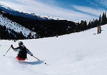 rossignol alltrack 120 pro