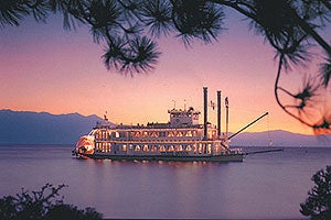 scott genius hardtail