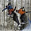 the winter athlete None
